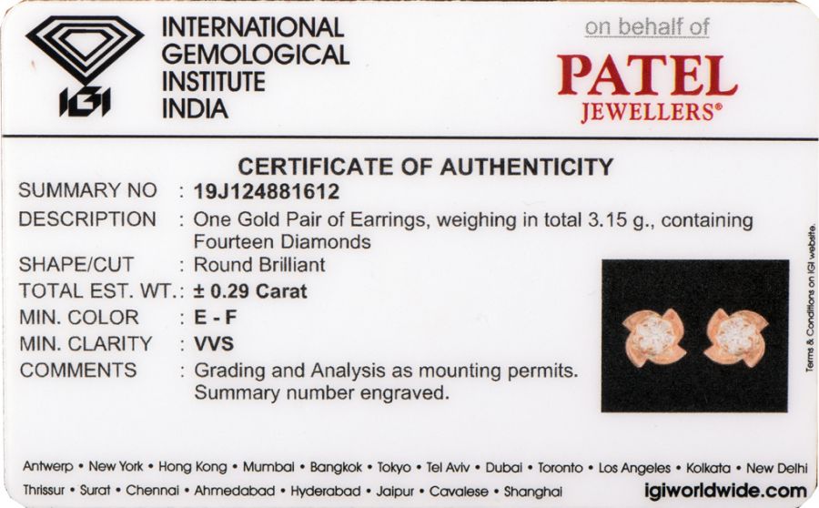 Diamond Earring(1BBD/0128)